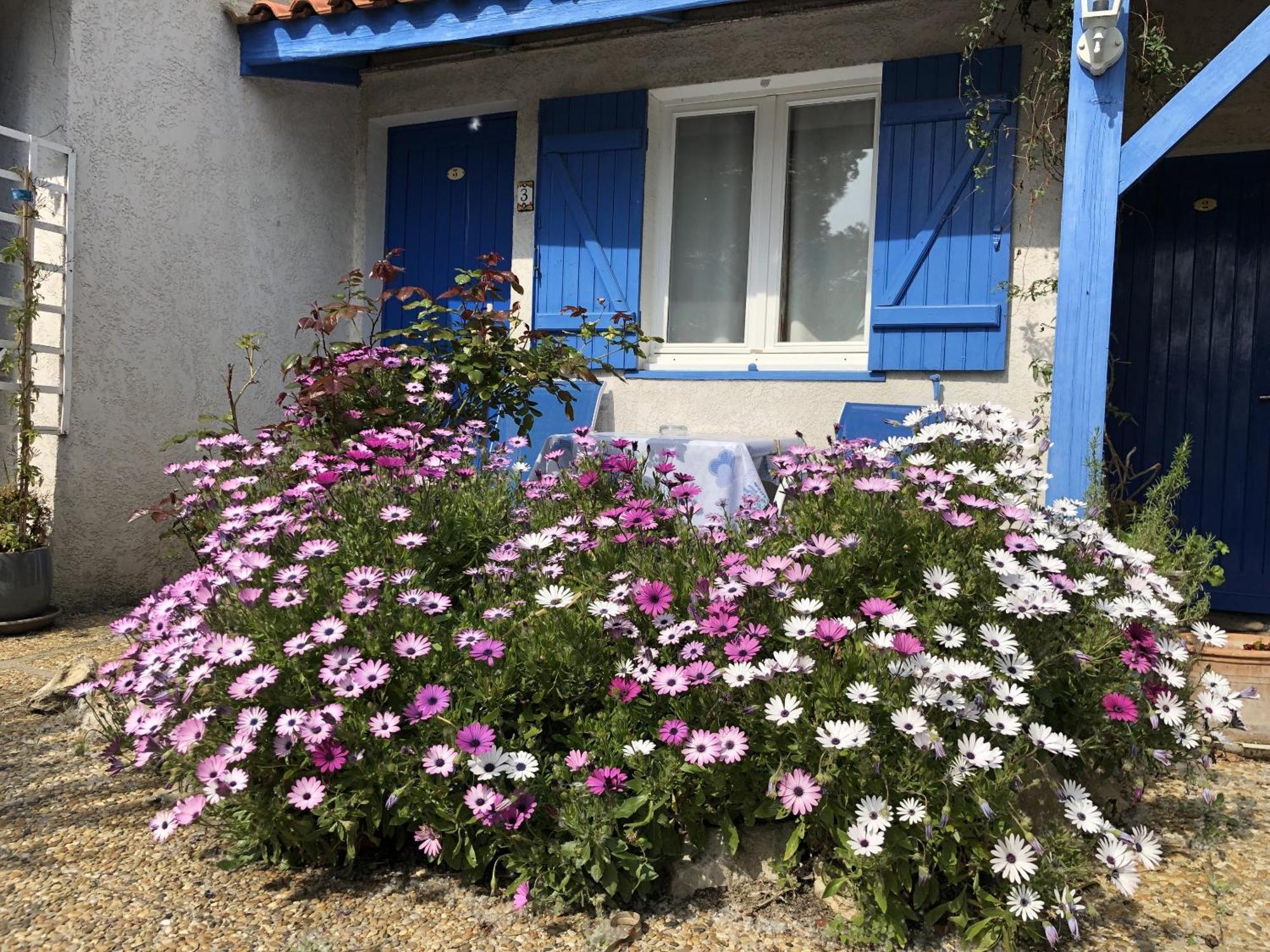 Hotel Des 4 Vents "Esprit Camargue" Aigues-Mortes Zewnętrze zdjęcie